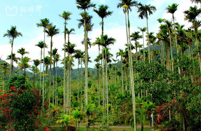 呀诺达雨林文化旅游区